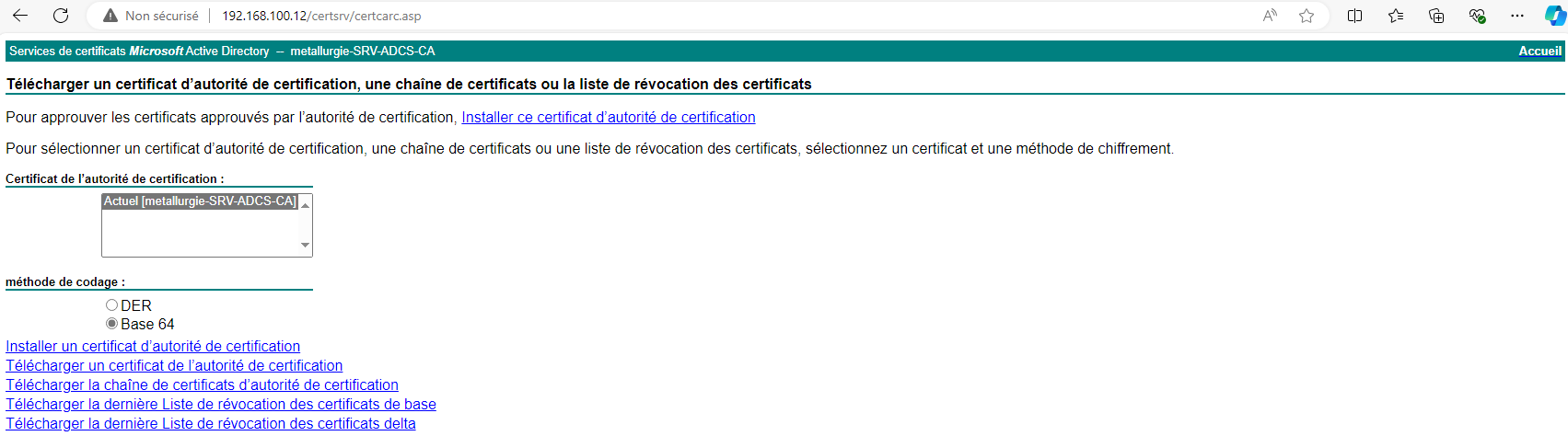 capture_d_écran_2024-11-25_143757.png
